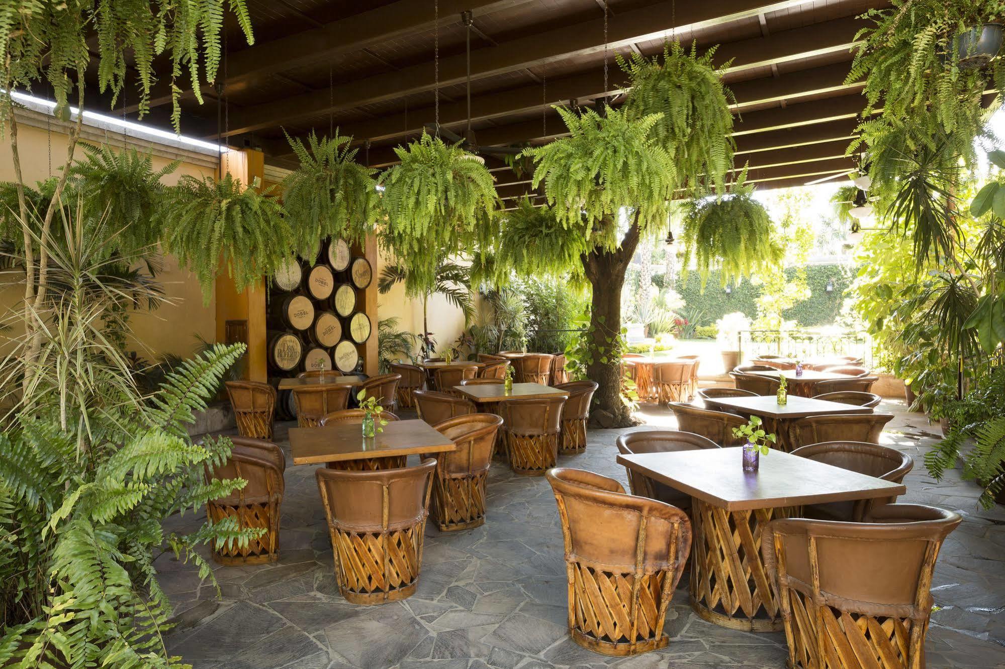 Hotel Villa Tequila Exterior photo